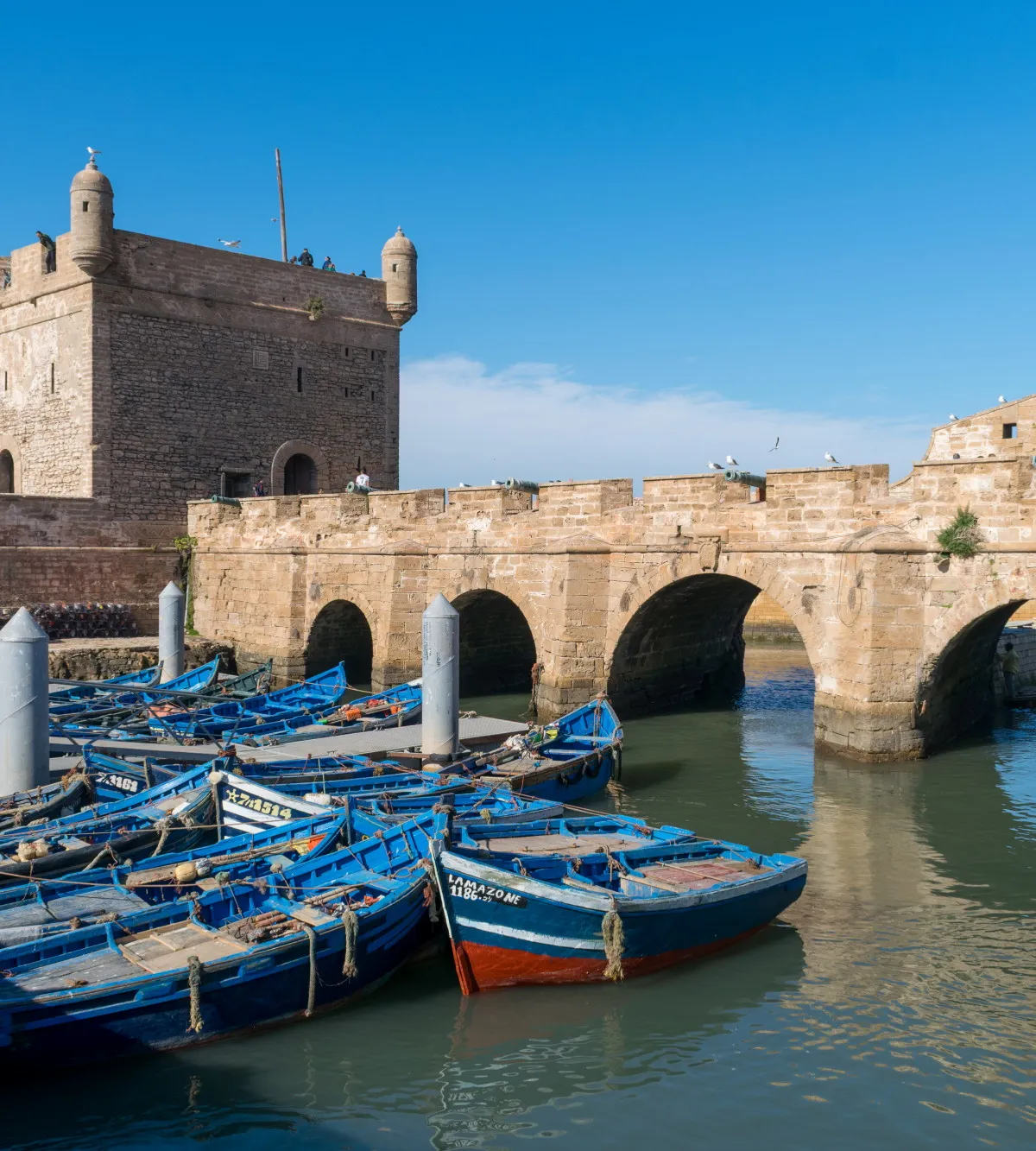 Rows of bright blue wooden fishing boats moored below the stone ramparts of the harbour, Essaouira, Morocco