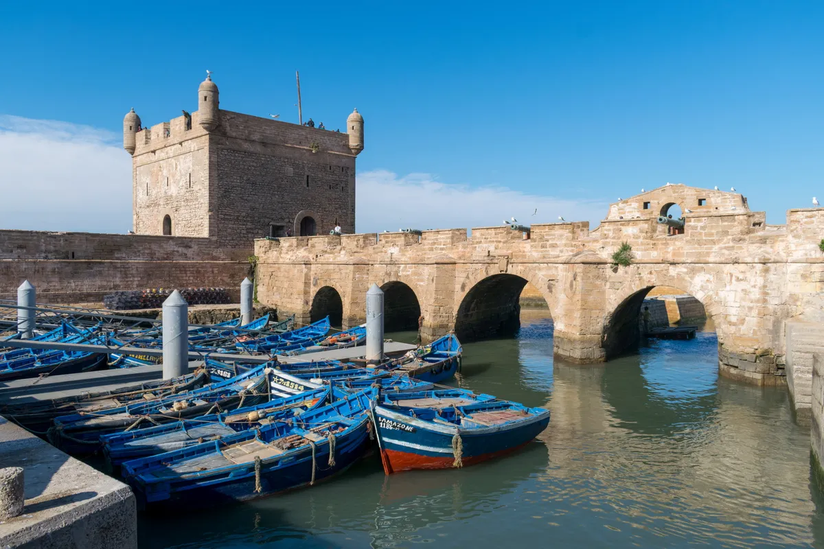 Rows of bright blue wooden fishing boats moored below the stone ramparts of the harbour, Essaouira, Morocco