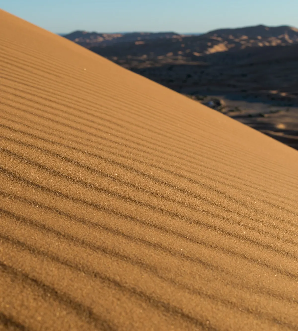 Close view of wind-rippled sand running diagonally down a desert dune with hills beyond, Rissani, Morocco