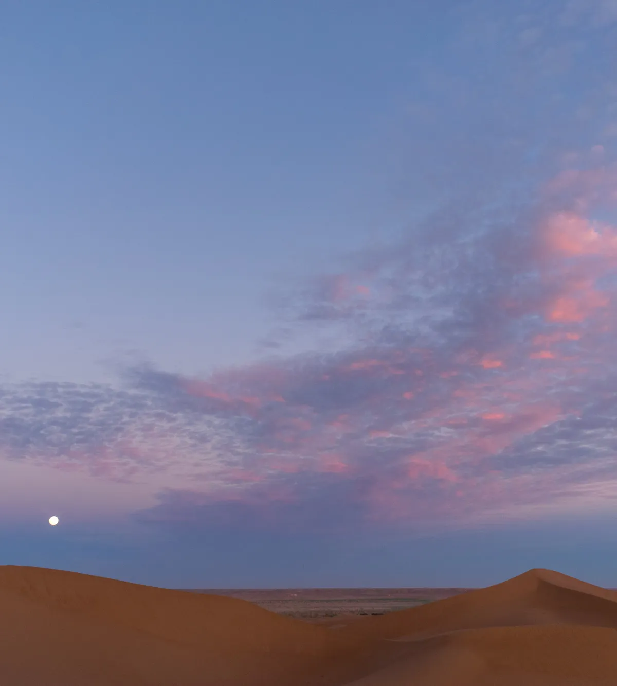 Full moon rising over Sahara sand dunes under a pink and violet dusk sky, M'Hamid, Morocco